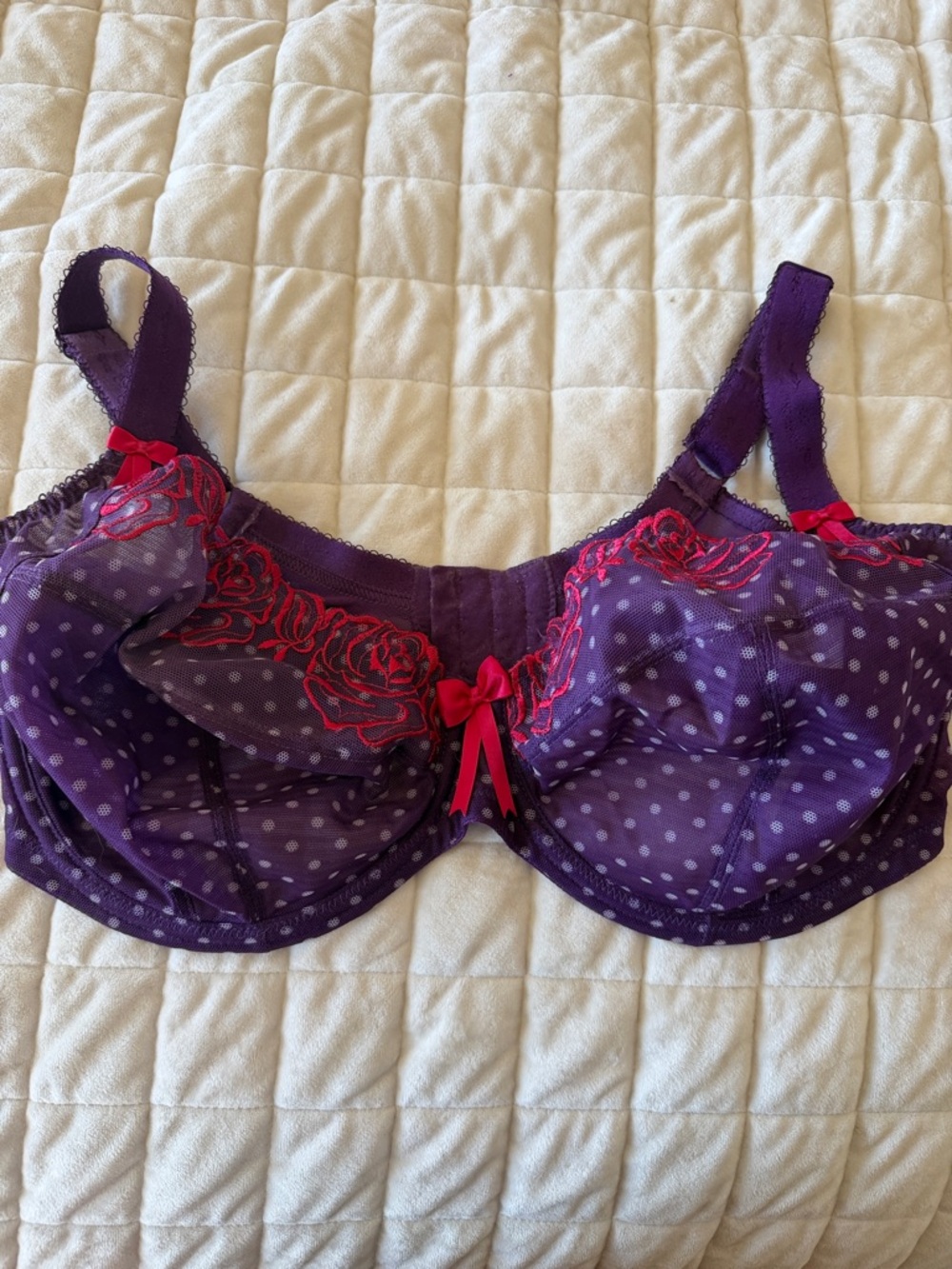 Elomi Purple Bra with Red Embroidery and Polka Dot Mesh- so sexy & great support
